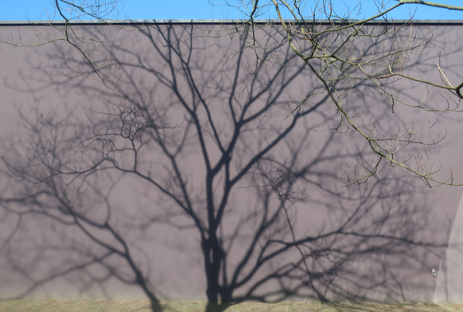 shadowtreedepontTilburg18maart2025.jpg