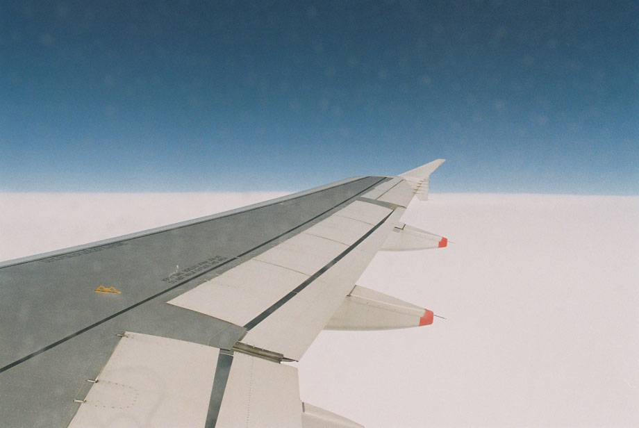 wing.jpg