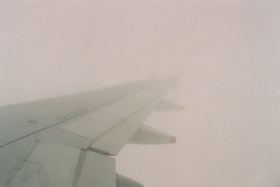wing2.jpg