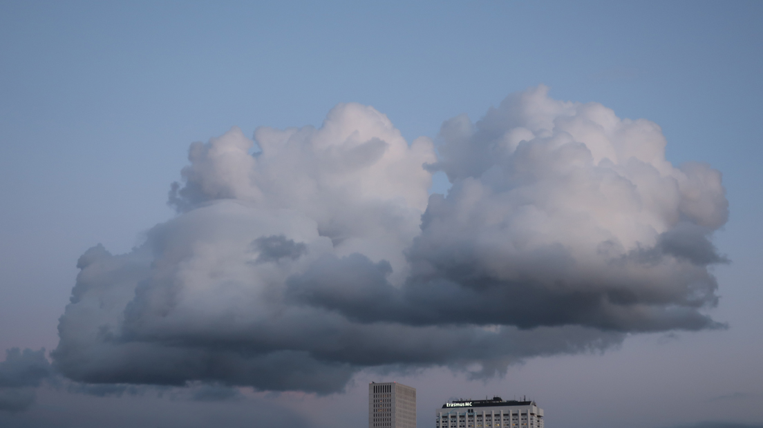 17march2019a.jpg