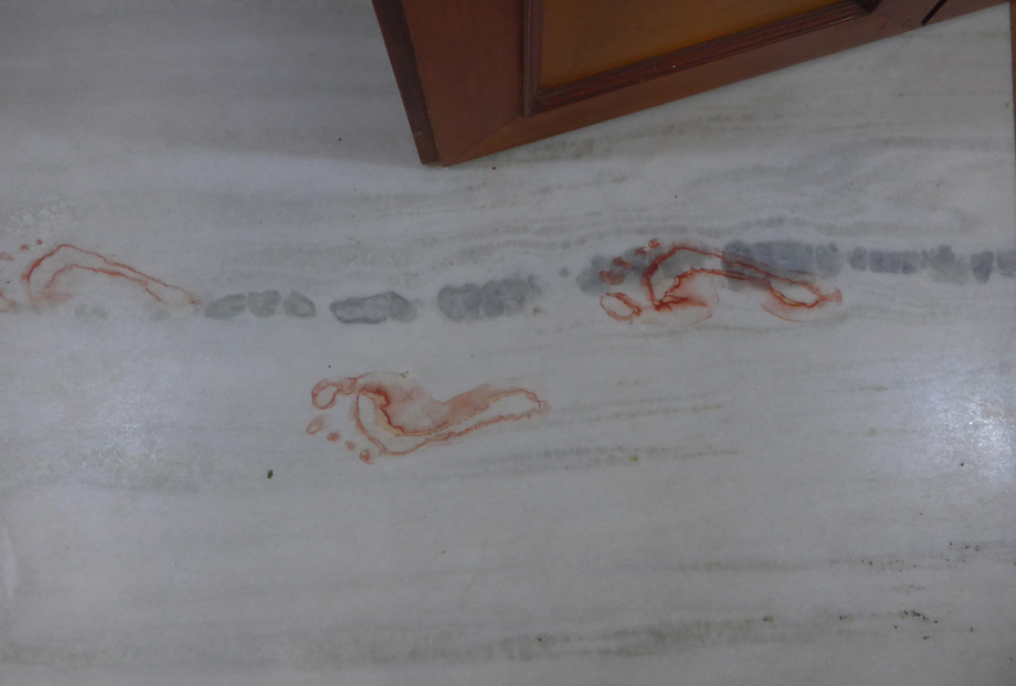 feet.jpg